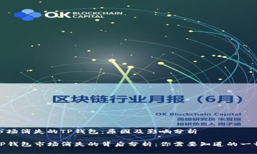 市场消失的TP钱包：原因及影响分析

TP钱包市场消失的背后分析：你需要知道的一切